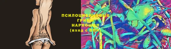 дурь Ельня