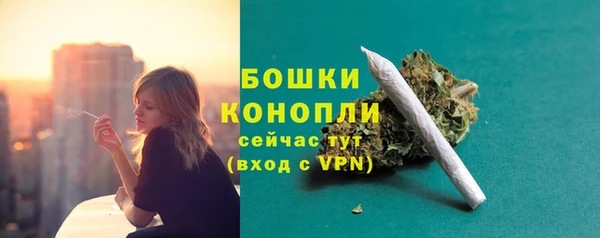 дурь Ельня