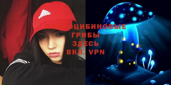 скорость Елизово