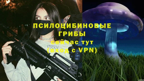 мяу мяу мука Елабуга