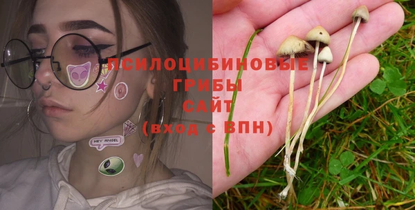 скорость Елизово