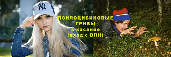 дурь Ельня