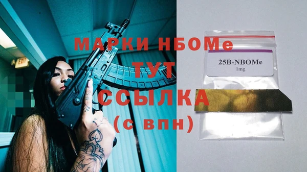 дурь Ельня