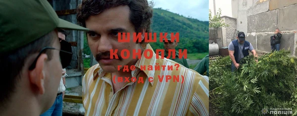 мяу мяу мука Елабуга